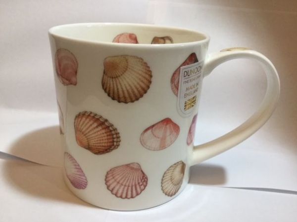 Shells (Muscheln)